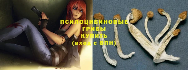 мескалин Алексин