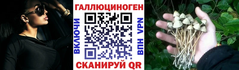 Купить закладки  Куса  Псилоцибиновые грибы Cubensis 