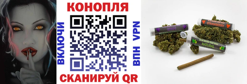 Купить где  Куса  Бошки марихуана OG Kush 